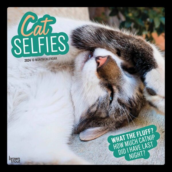 Cat Selfies Calendar 2024