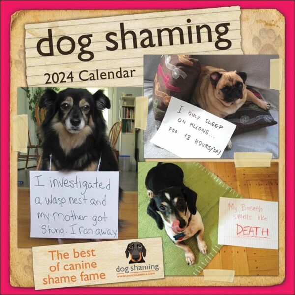 Dog Shaming Calendar 2024