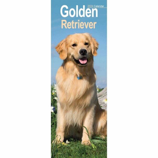 Golden Retriever Slim Calendar 2024