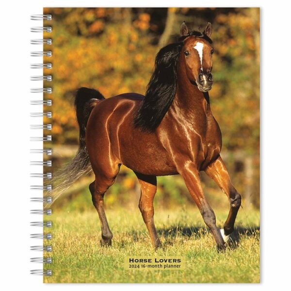 Horse Lovers A5 Diary 2024