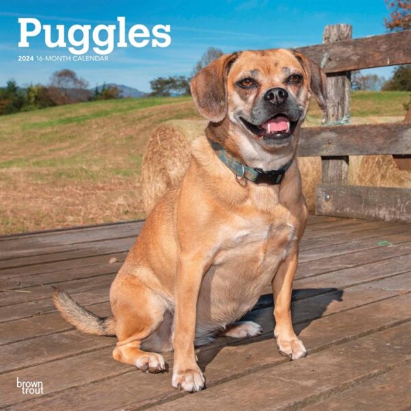 Puggles Calendar 2024