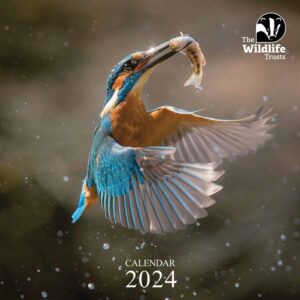 The Wildlife Trusts Calendar 2024