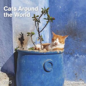 Cats Around The World Calendar 2025