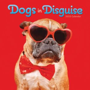 Dogs in Disguise Calendar 2025
